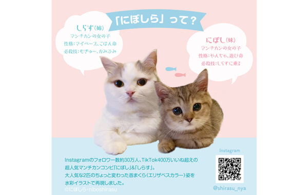 SNS総閲覧数3億回超えの人気猫コンビ「にぼしら」がクッション