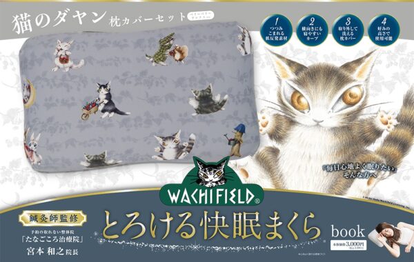 わちふぃーるど 猫のダヤン とろける快眠まくらbook」展開書店リスト