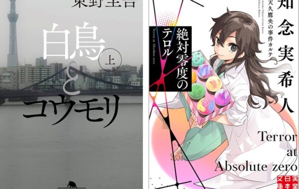 【格安】【定価以下】【半額以下】小説 58冊 まとめ売り 知念実希人 東野圭吾 B20240409-600x380.jpg