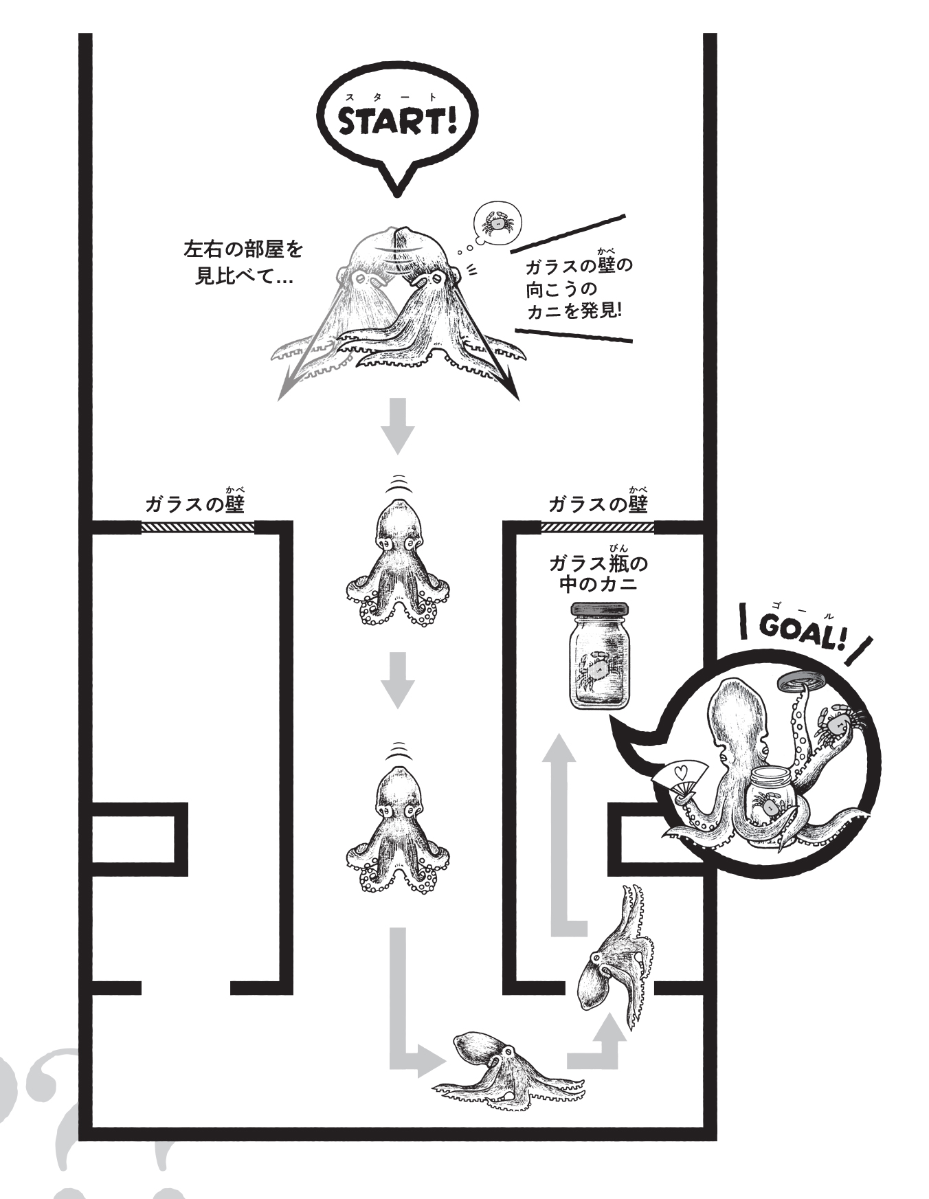 『タコのなぞ　「海の賢者」のひみつ８８』