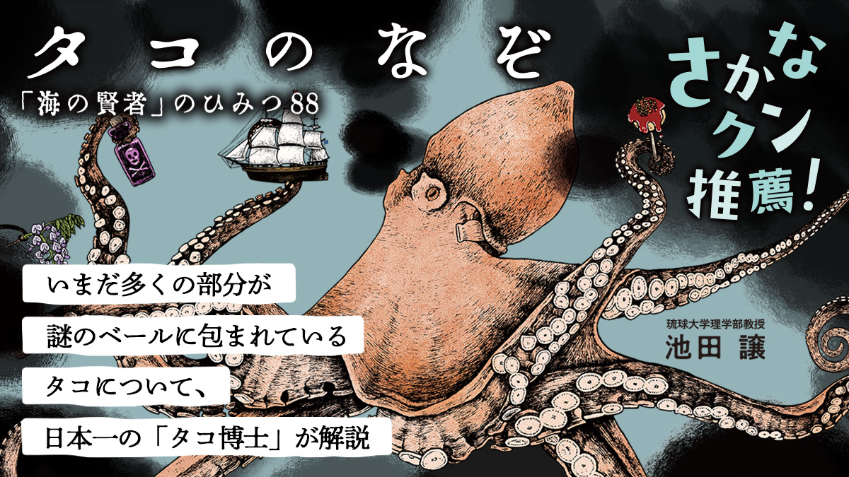 知られざるタコの秘密に、二度見ならぬ“二度読み”してしまう！『タコのなぞ 「海の賢者」のひみつ88』 | ほんのひきだし