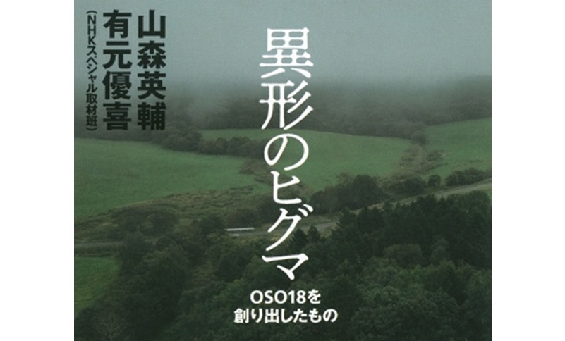 異形のヒグマ