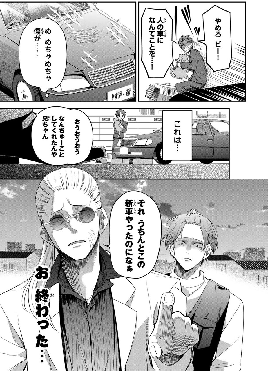 『猫を処方します』