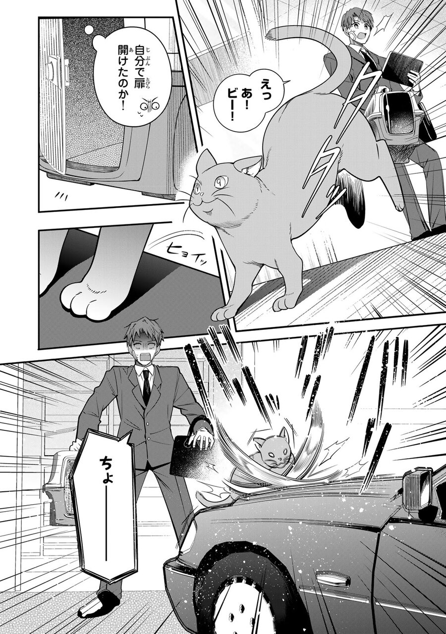『猫を処方します』