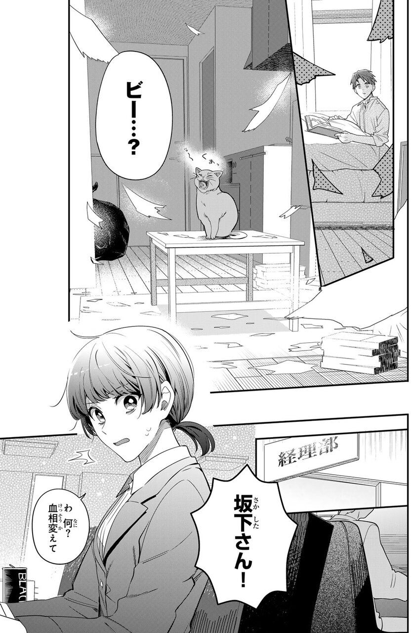 『猫を処方します』