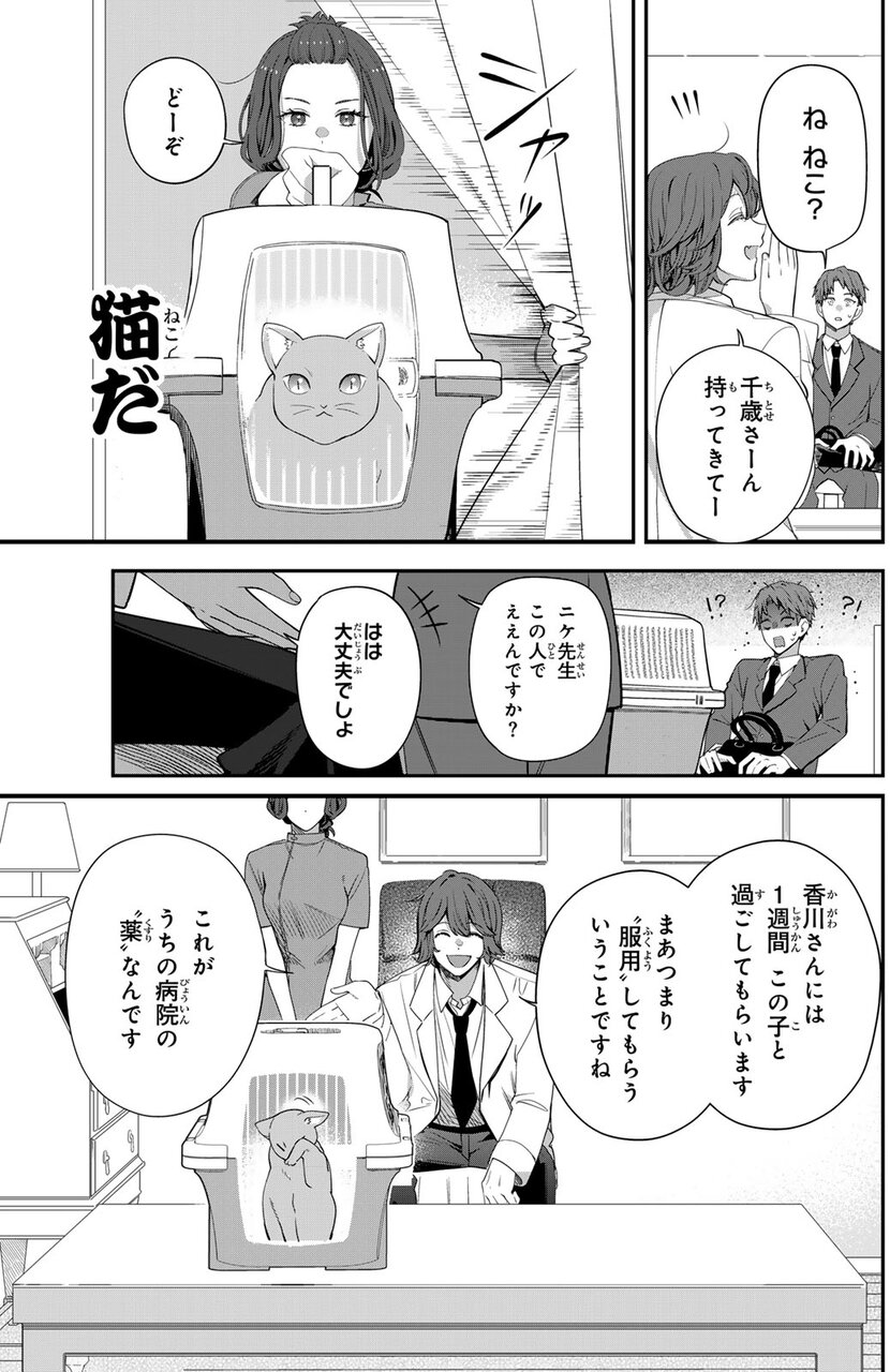 『猫を処方します』