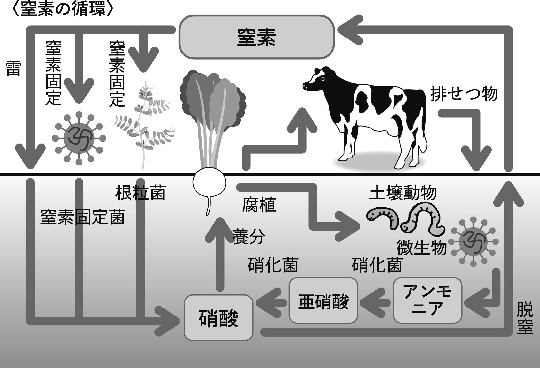 おすすめ②無肥料栽培を実現する本