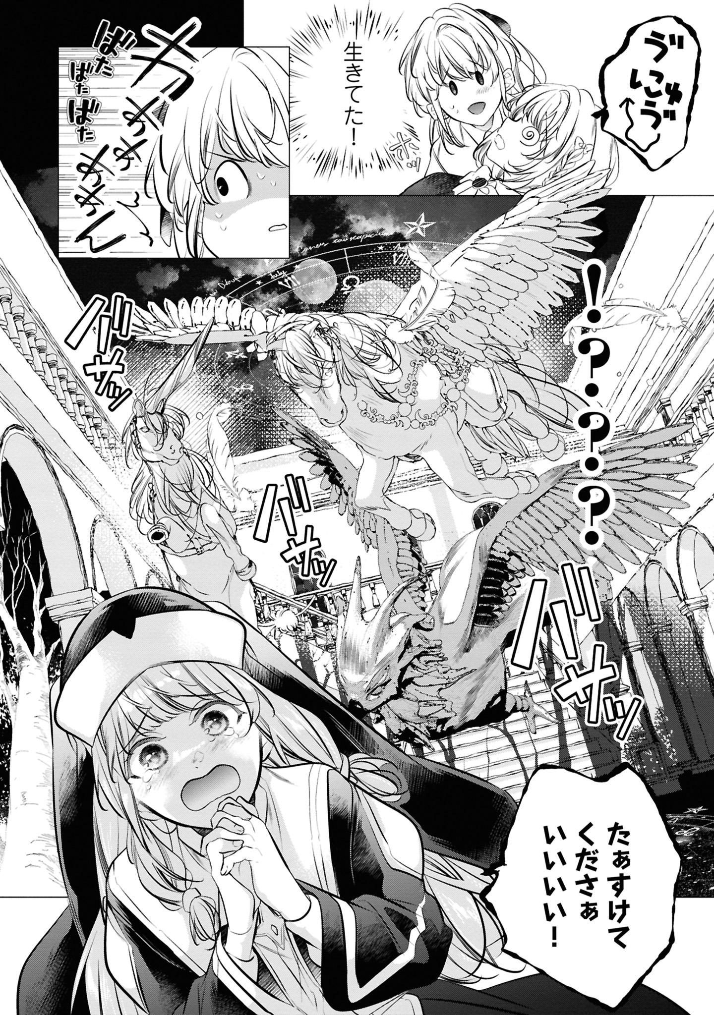 36コマ