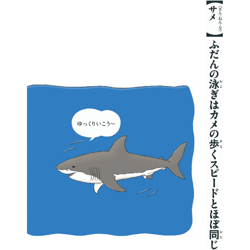 第10位　サメ