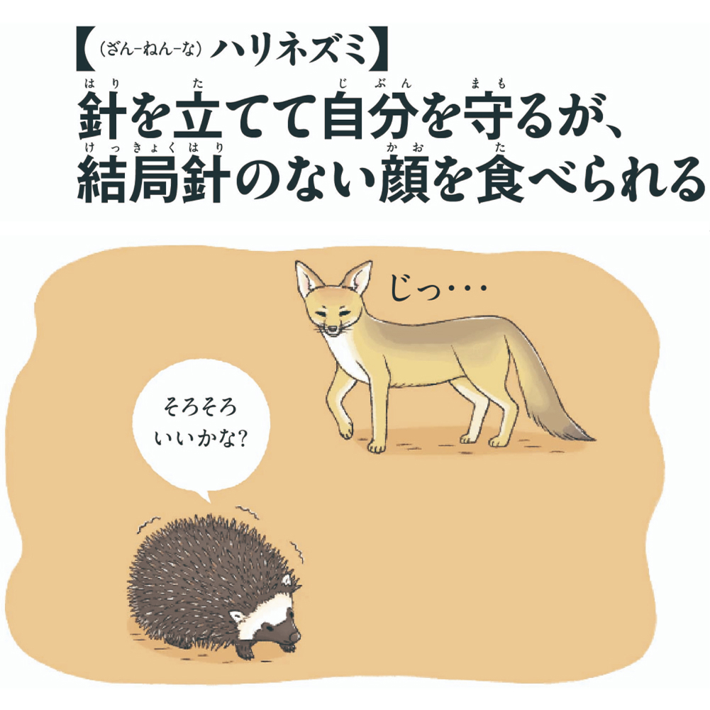 第10位　ハリネズミ