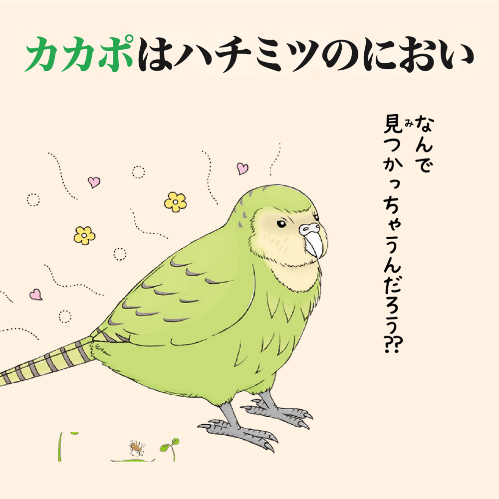 第3位カカポ