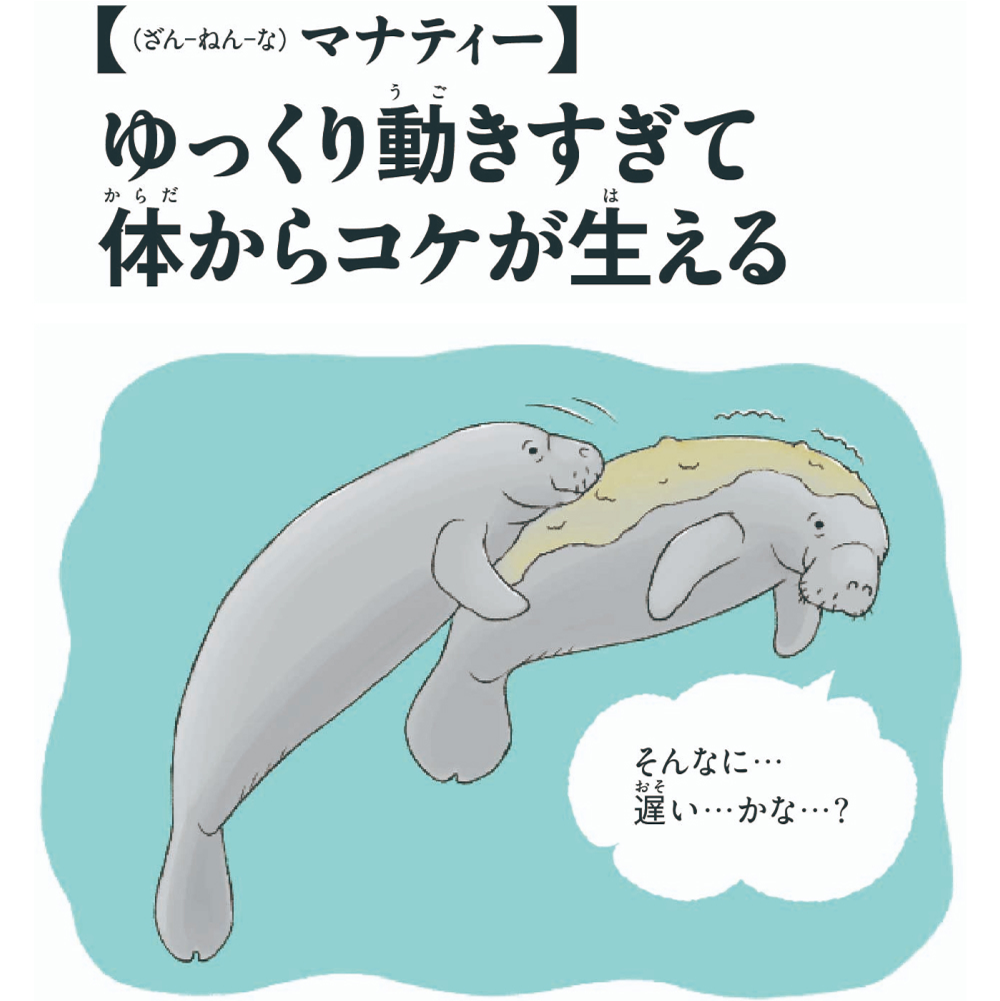 第3位マナティー