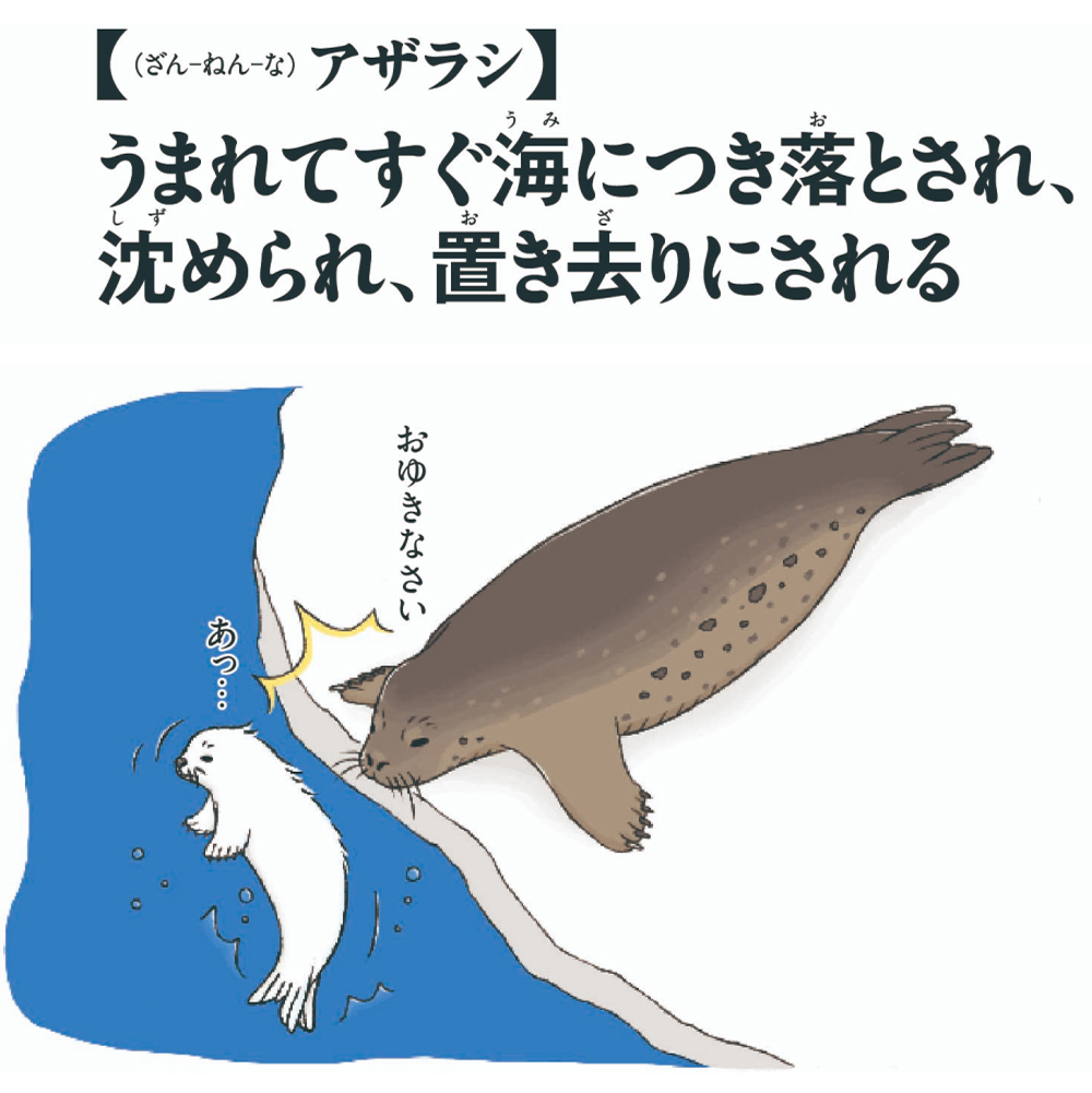 第7位アザラシ