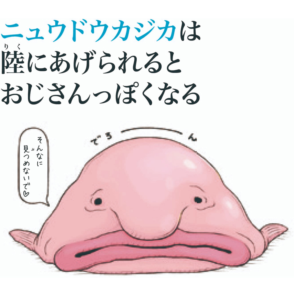 第10位　ニュウドウカジカ