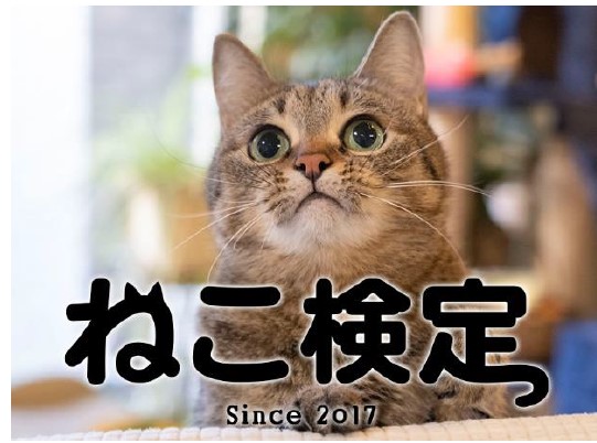 ねこ検定_アイキャッチ