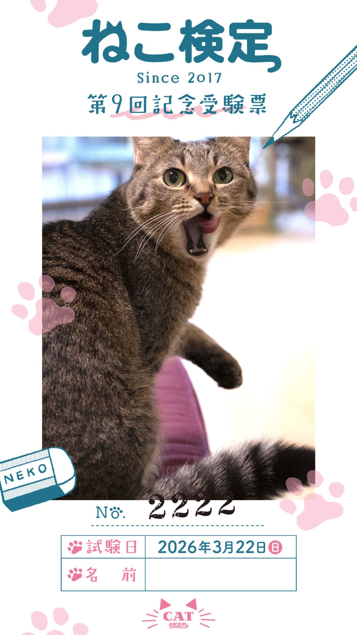 nekokentei_tokuten