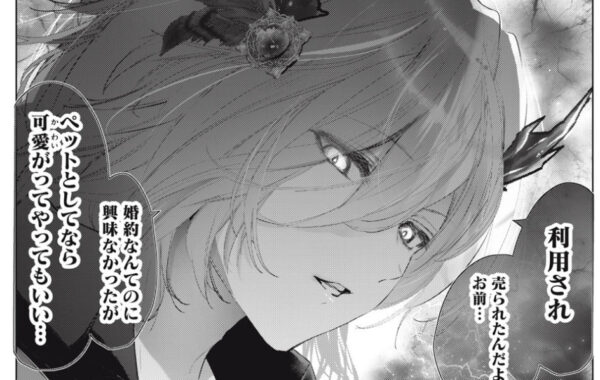 無敵のスパダリ花嫁が呪われ王子を“よしよし”して愛でまくる！？ 姉御