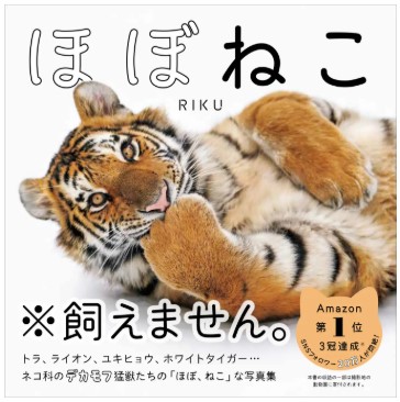 ほぼねこ_syoei