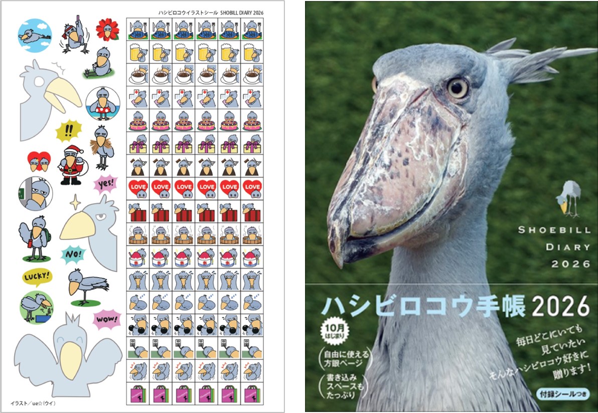 ハシビロコウ手帳1