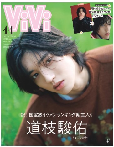 ViVi11書影