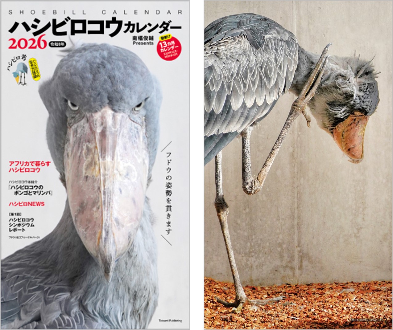 ハシビロコウカレンダー