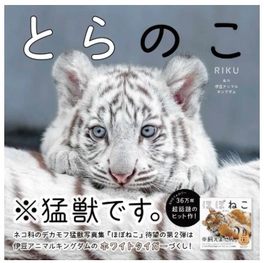 とらのこ_syoei