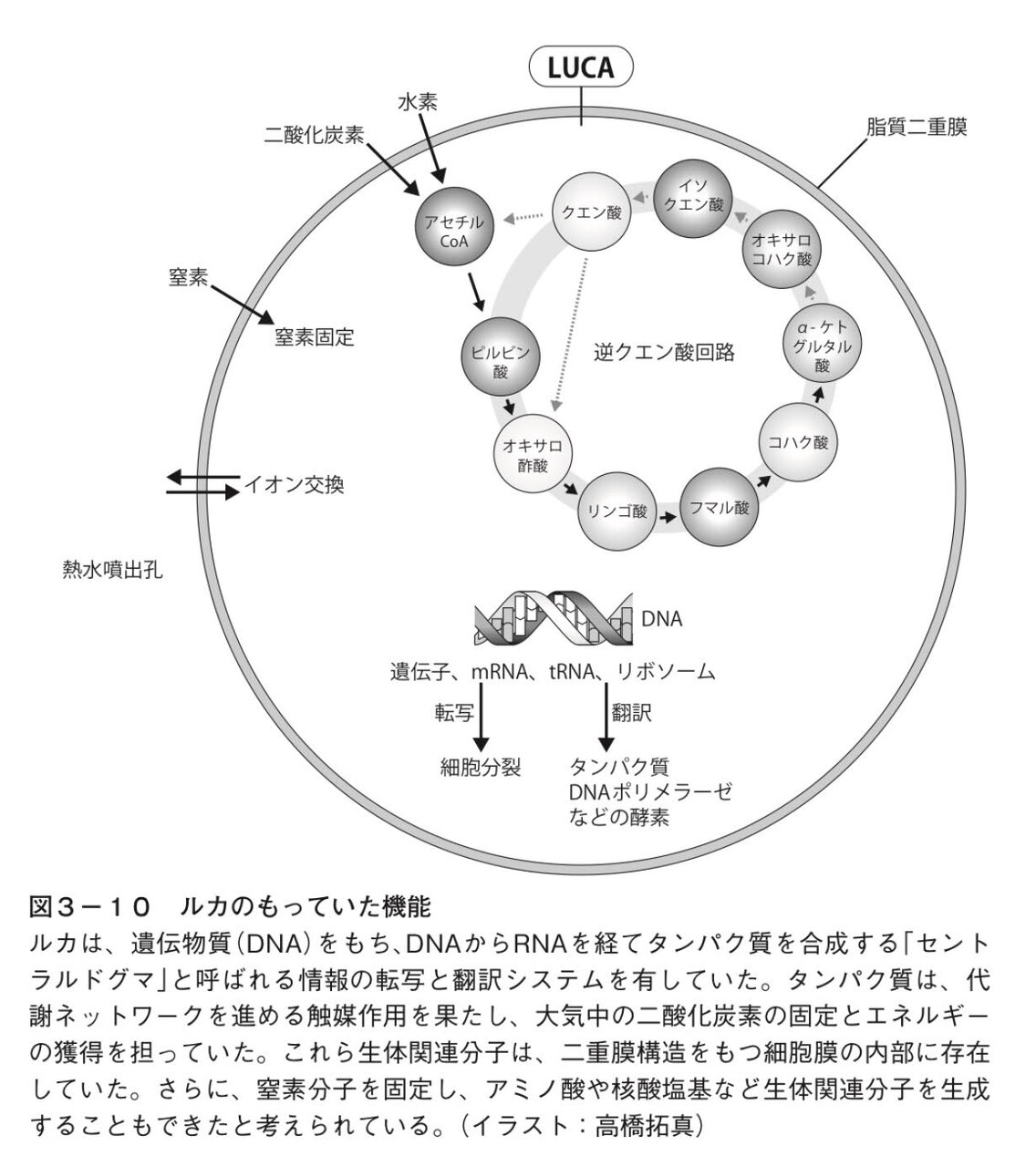 『生命の起源を問う』