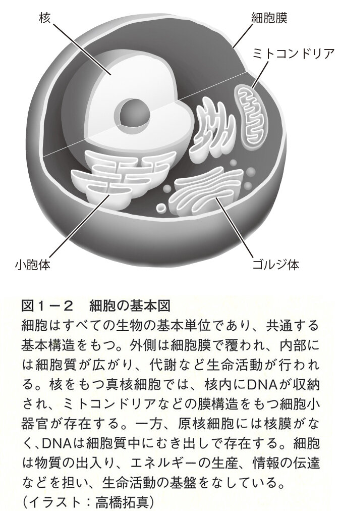 『生命の起源を問う』