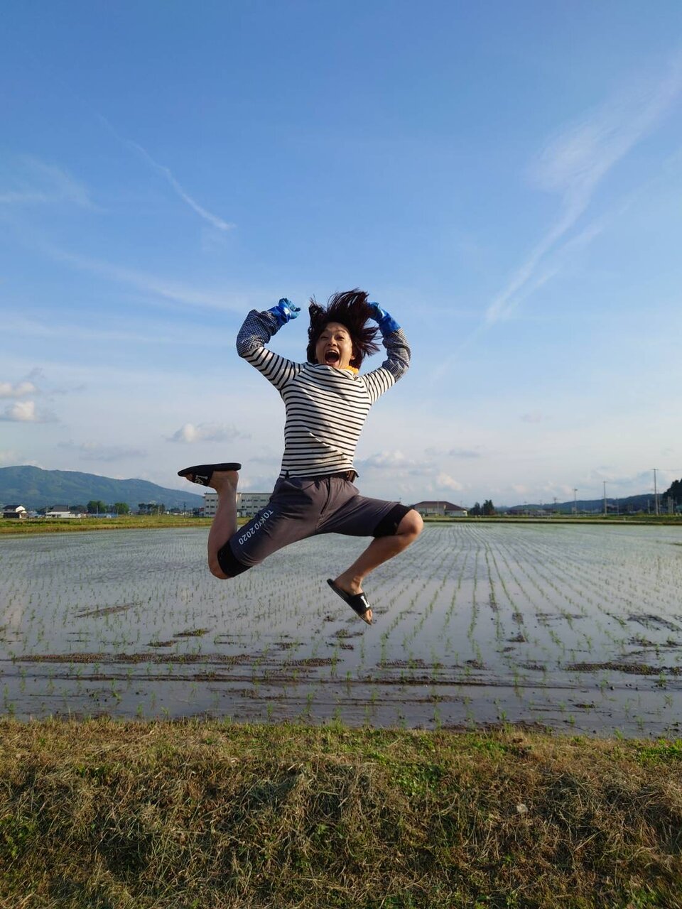 『50歳の棚卸し』