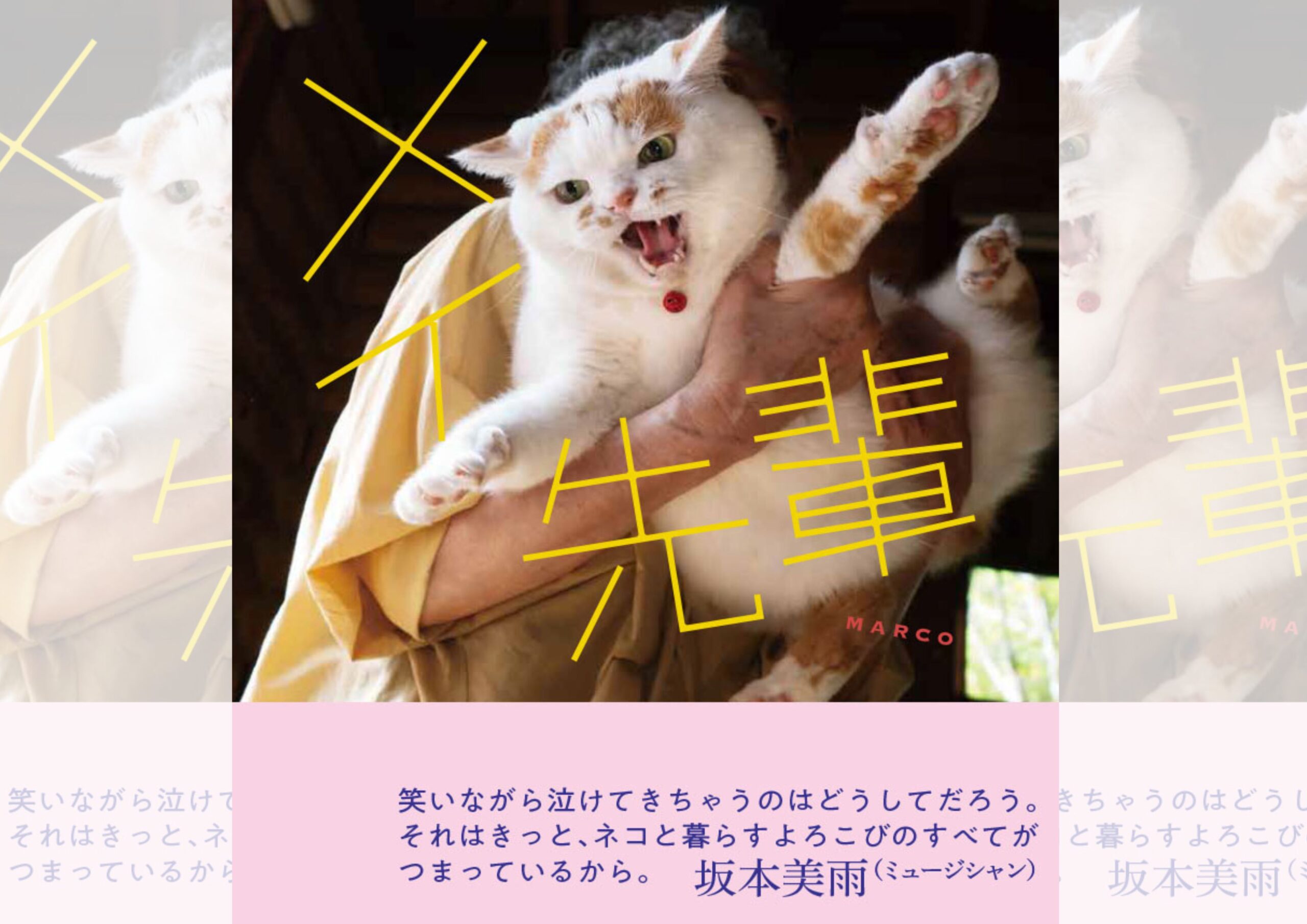 メイ先輩トップ画