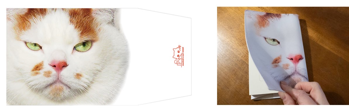 bookcover