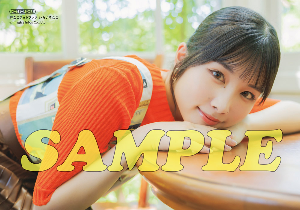 『岬なこフォトブック いろいろなこ』