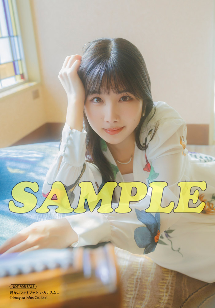 『岬なこフォトブック いろいろなこ』