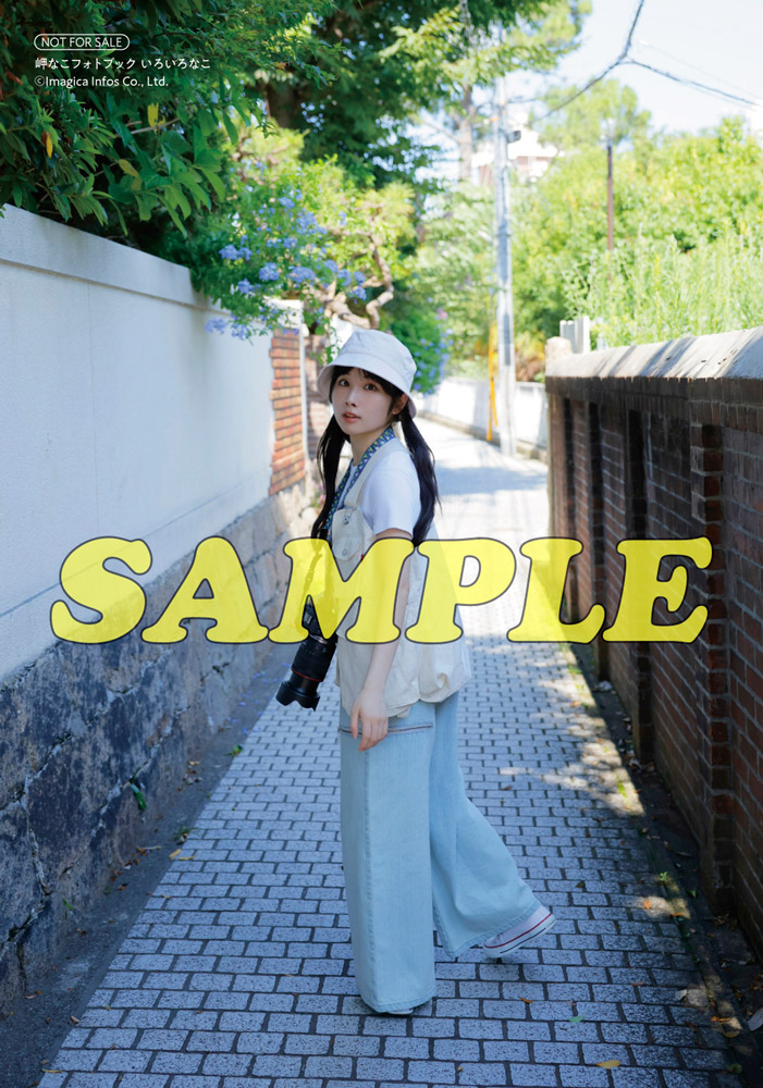 『岬なこフォトブック いろいろなこ』