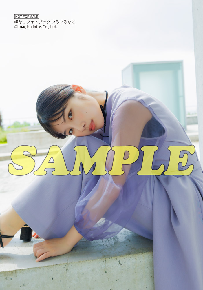 『岬なこフォトブック いろいろなこ』