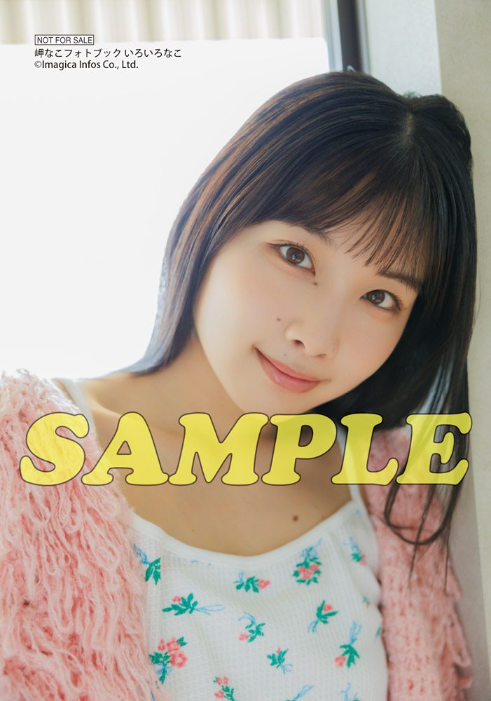 『岬なこフォトブック いろいろなこ』