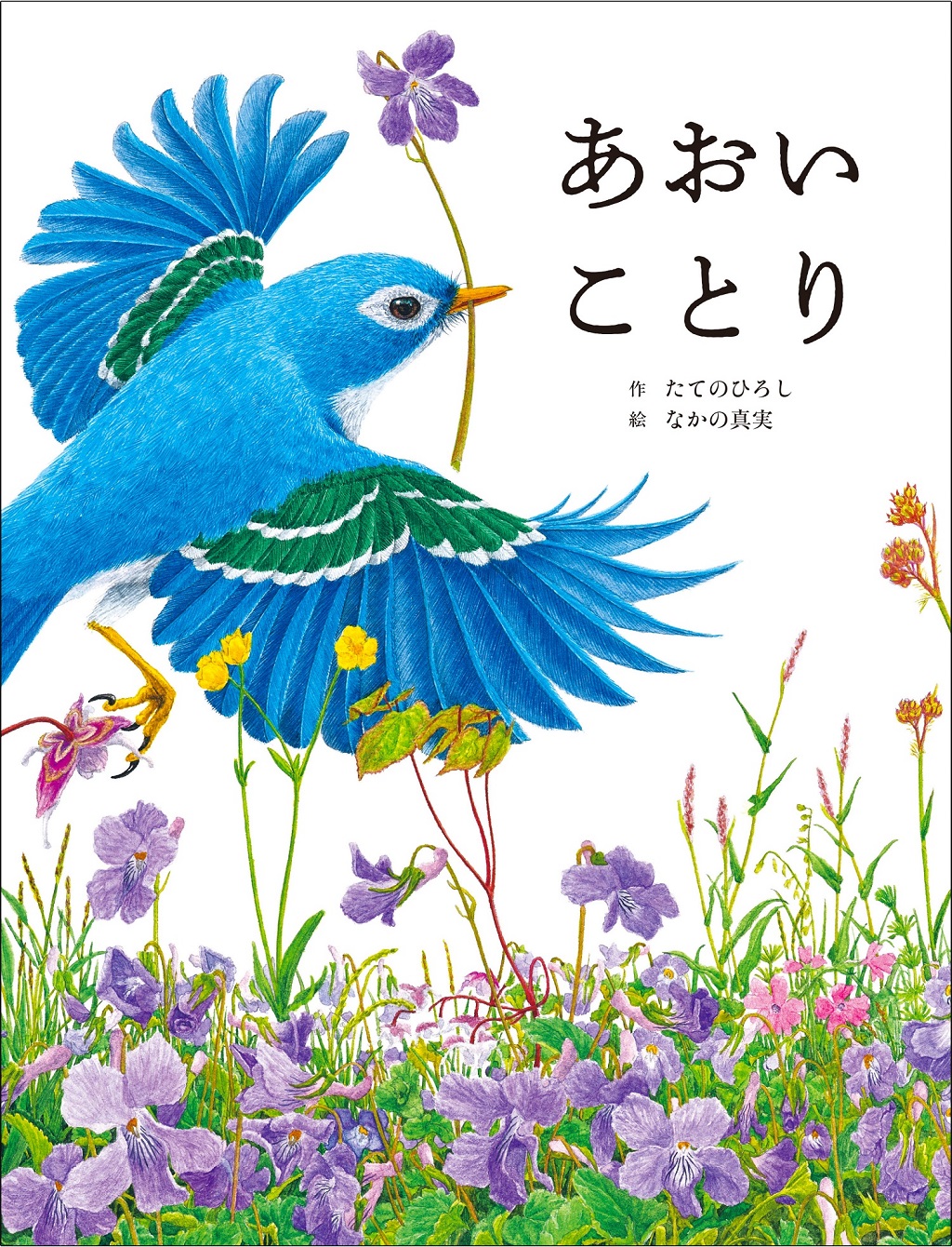 9784418258369_あおいことり