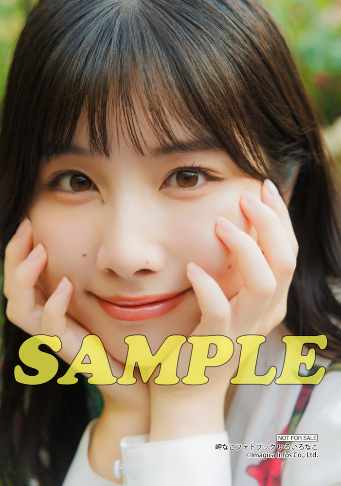 『岬なこフォトブック いろいろなこ』