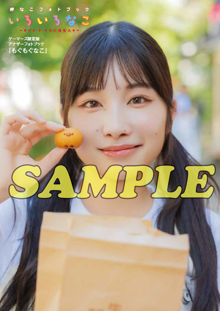 『岬なこフォトブック いろいろなこ』