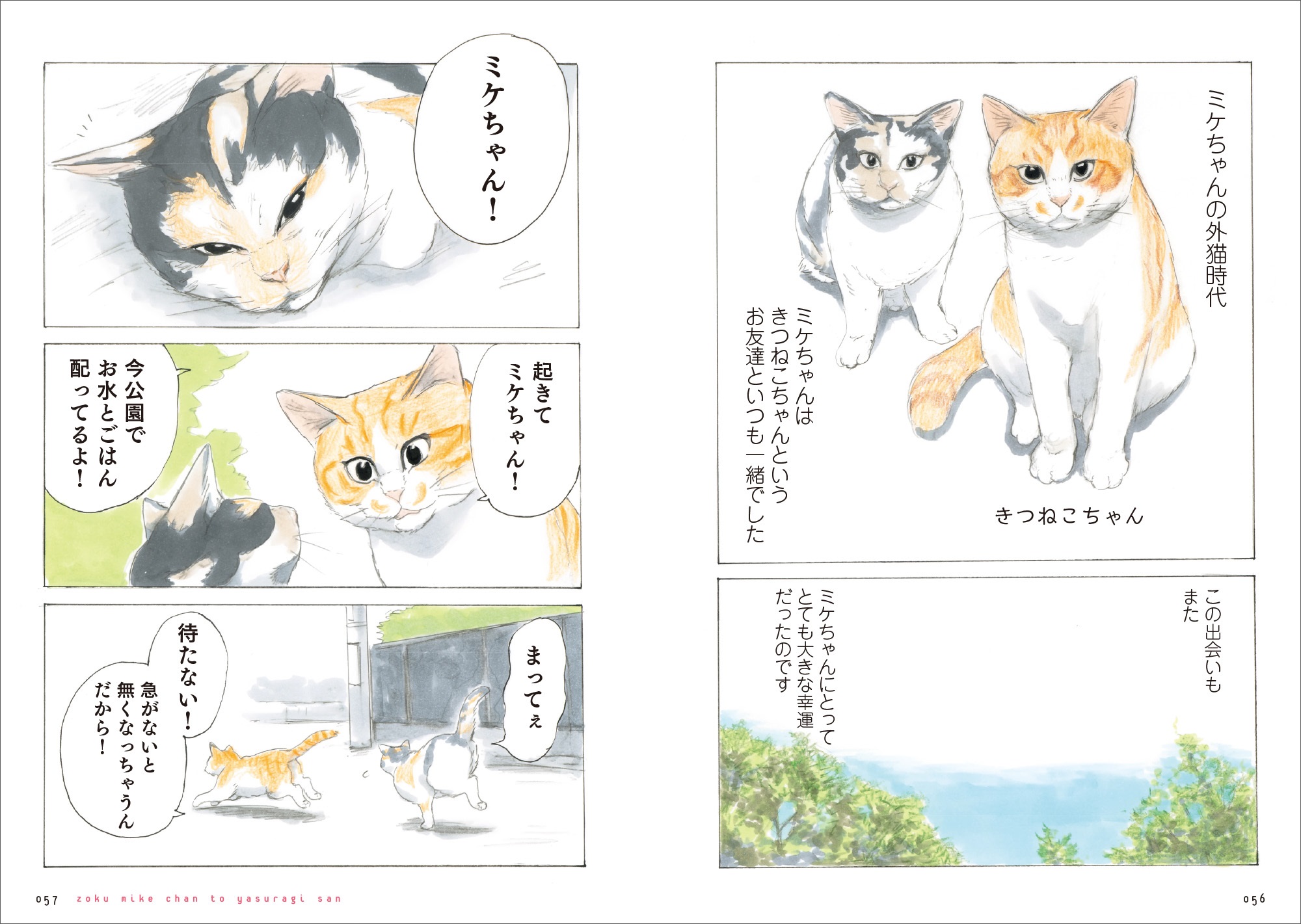 『続 ミケちゃんとやすらぎさん』