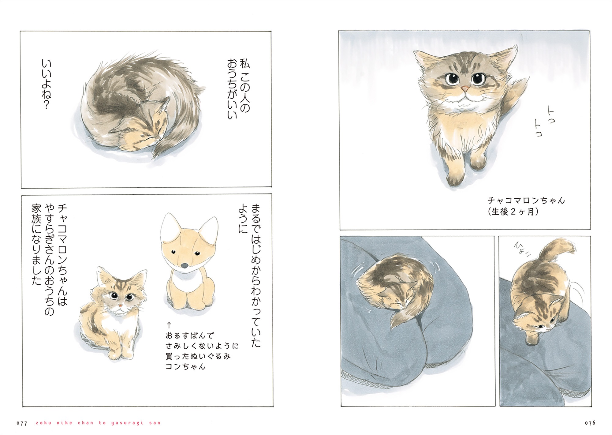 『続 ミケちゃんとやすらぎさん』