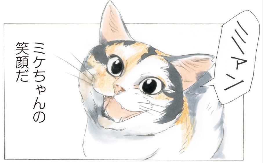 『続 ミケちゃんとやすらぎさん』