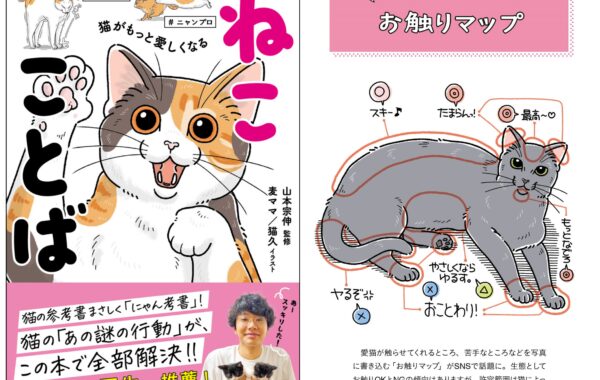 どこかの猫好き a11b4bb3ba448d1fa402ac3dc62cc9