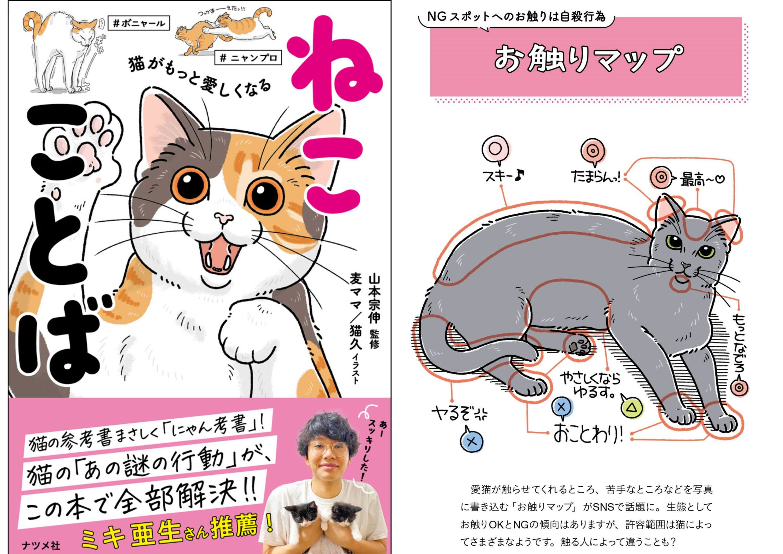 猫アイキャッチ