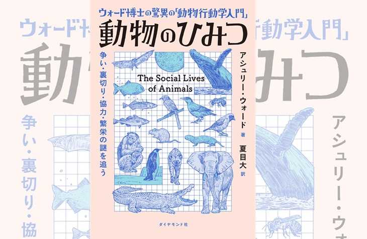 検索ランキング