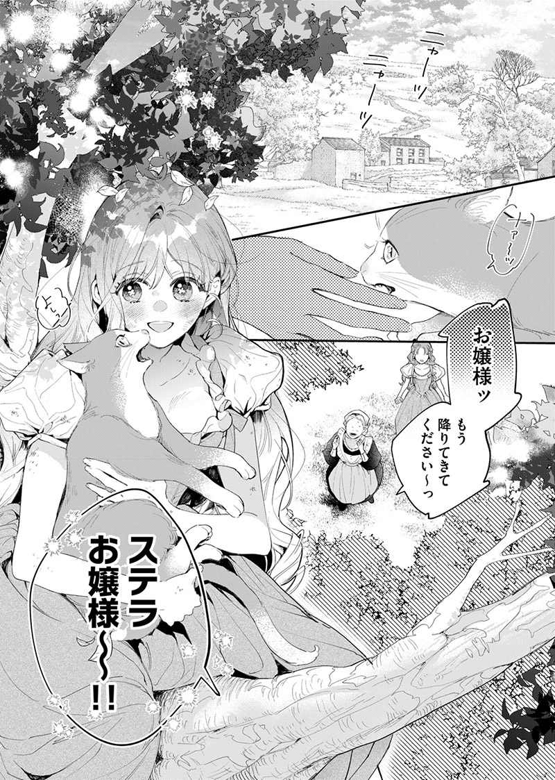 『花秘める君のメテオール』