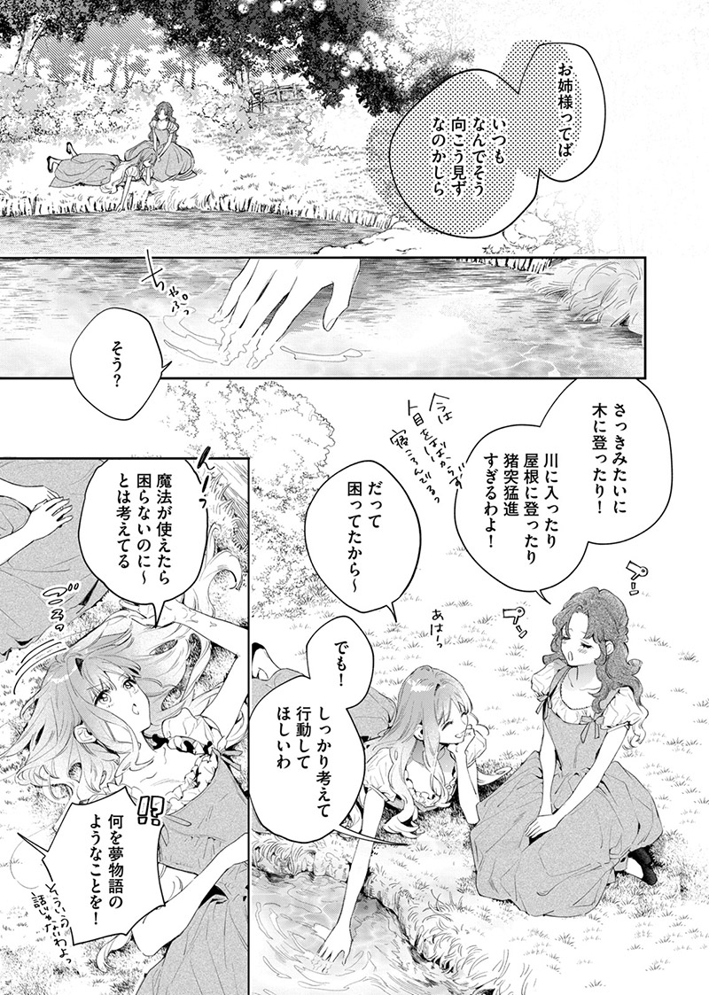 『花秘める君のメテオール』