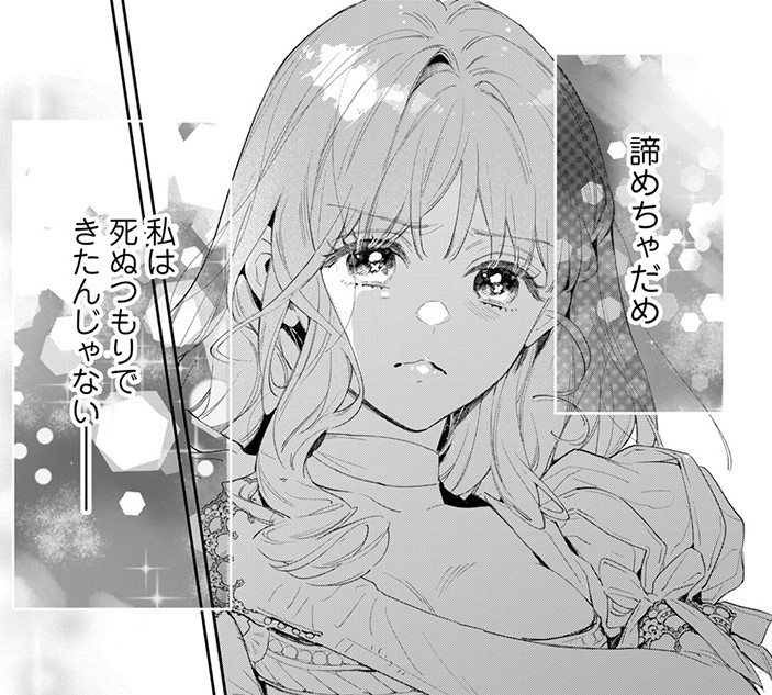 『花秘める君のメテオール』