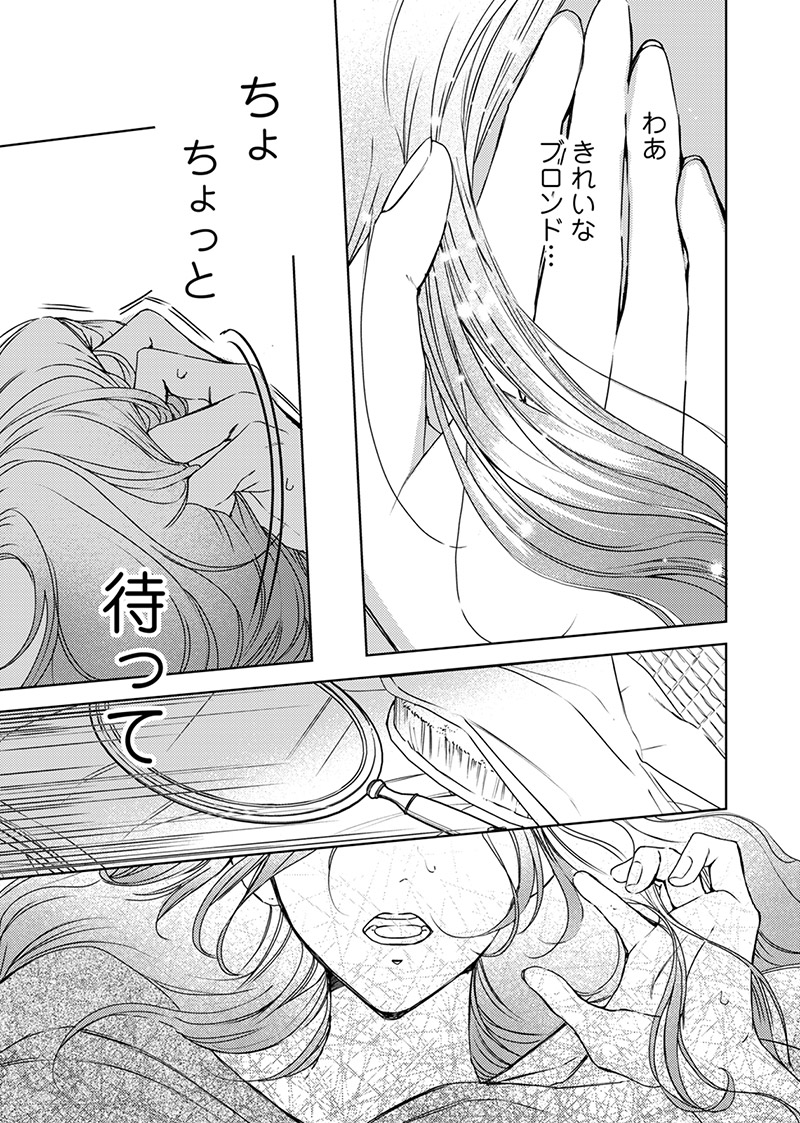 『入れ替わりの花嫁～見習い修道女リリーはお家に帰りたい～』