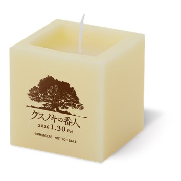 クスノキ_キャンドル